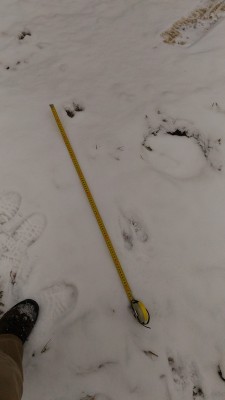 P_20161222_120227.jpg