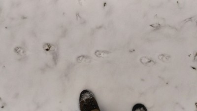 P_20161222_120345_HDR.jpg