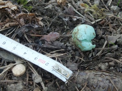 DSCF5579_1.JPG