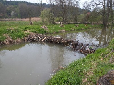 DSCF5753_1.JPG