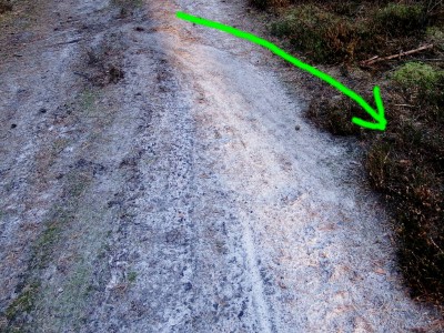 Vlčí kořist, stopy po tažení