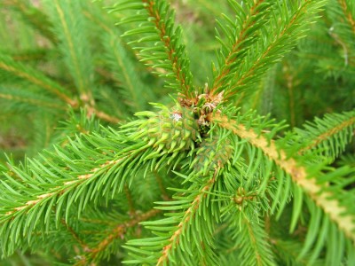 IMG_0253.JPG