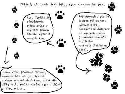 rysi stopa zamena chování.png