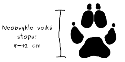 vlci stopa - popisky hlavni.png (32.74 KiB) Zobrazeno 25222 x vlčí stopa, vzorová ilustrace