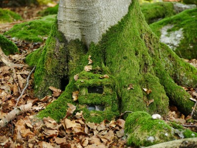 Maskování fotopastí: Maskovací krabička, detail