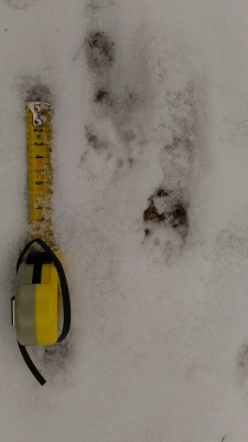 P_20161222_120201.jpg