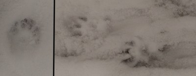 P_20161222_120302.jpg