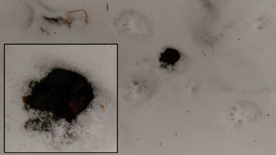 P_20161222_133223.jpg