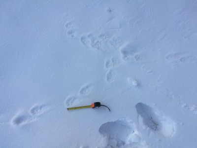 IMG_20170121_151807.jpg