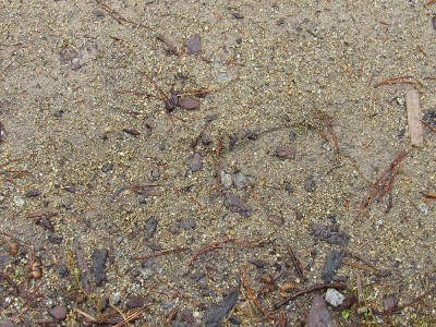 IMG_0033.JPG