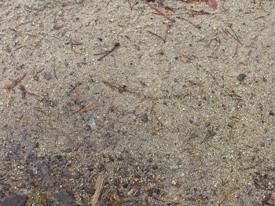 IMG_0034.JPG