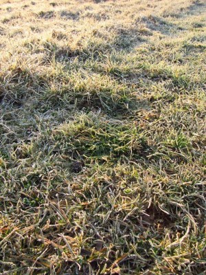 IMG_0072.JPG