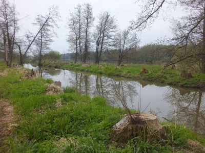 DSCF5748_1.JPG