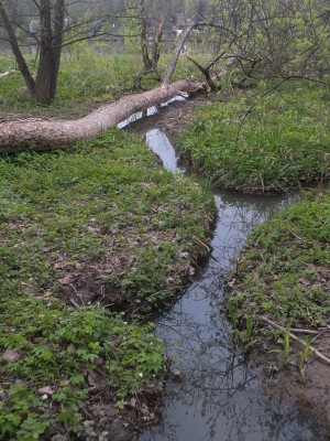 DSCF5756_1.JPG