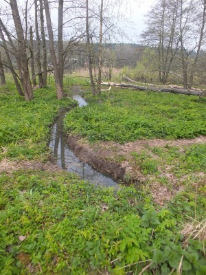 DSCF5764_1.JPG